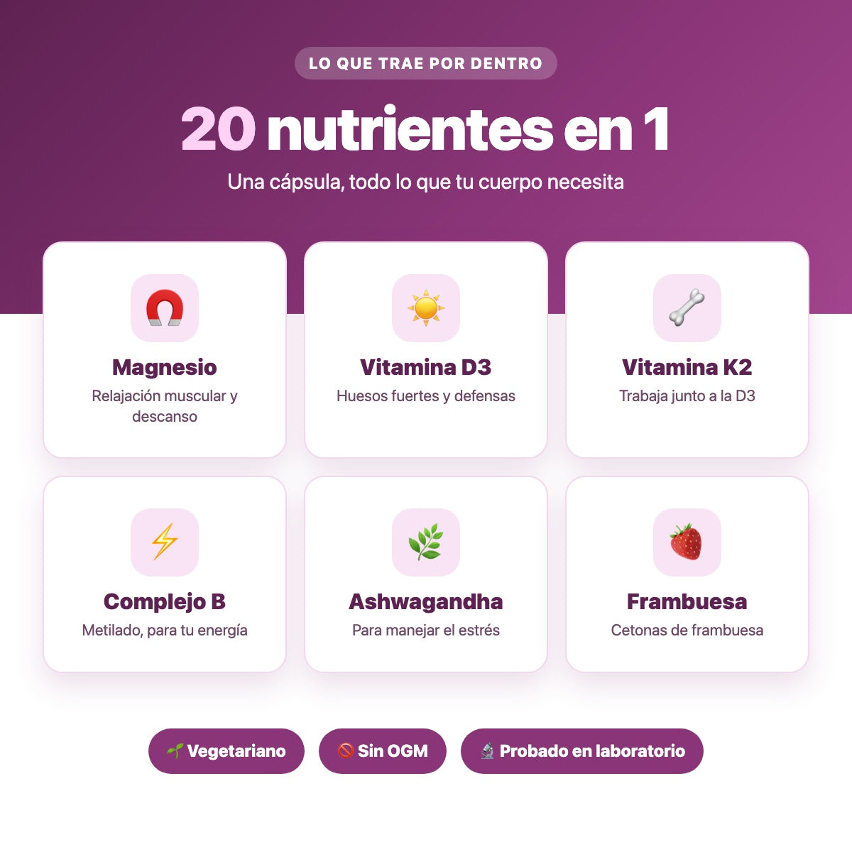 Ingredientes del Magnesio Complex 20 en 1: magnesio, D3, K2, complejo B, ashwagandha y frambuesa